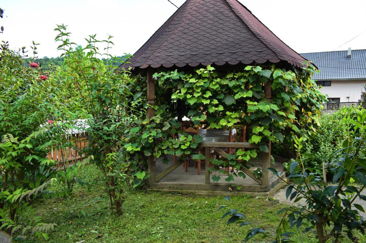 Casa Vladicu Hotell Breb Exteriör bild